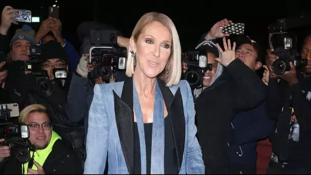 Céline Dion cherche à être hype pour séduire ses fils