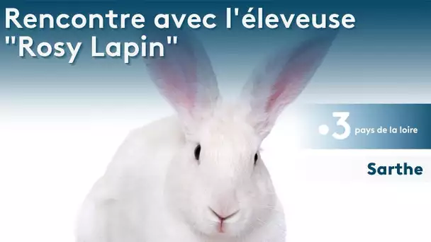 Sarthe : Rencontre avec l'éleveuse "Rosy Lapin"