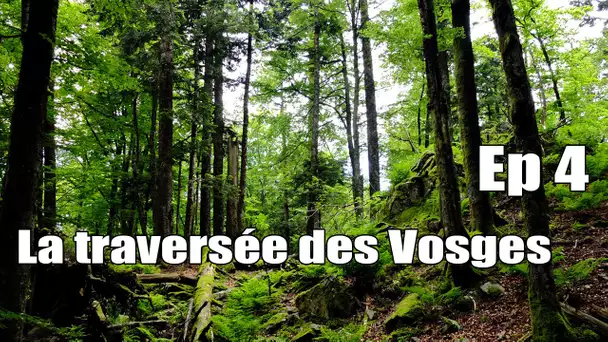 La traversée des Vosges -  Ep 4