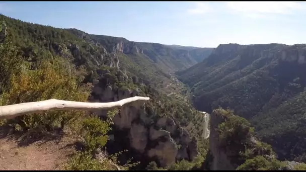 Le sentier du vertige au dessus des Gorges du Tarn et de la Jonte avec Zinzin Reporter