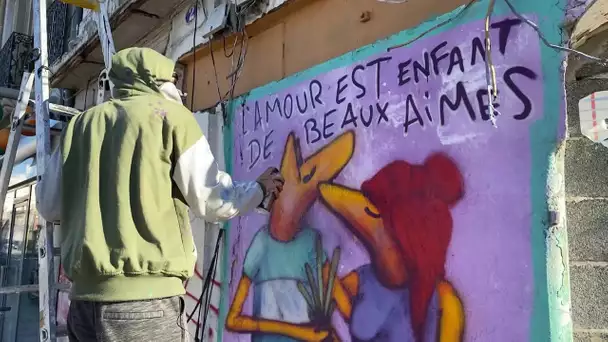 Bordeaux : le street art de Selor s'expose aussi au musée
