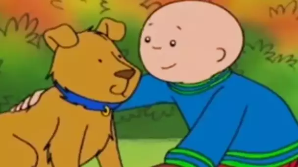 Caillou en français -  Caillou et le Chiot | conte pour enfant | dessin anime | Caillou en Français