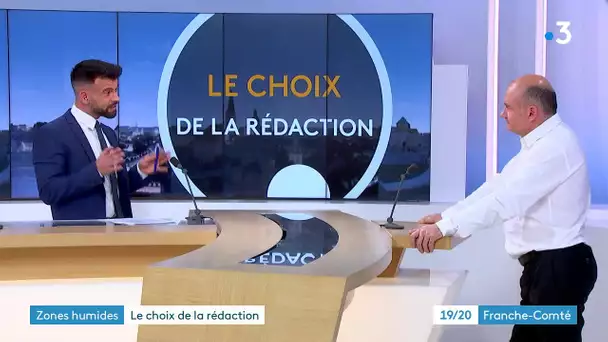 Marais et tourbières en voie de disparition : pourquoi les zones humides sont nos "assurances-vie"