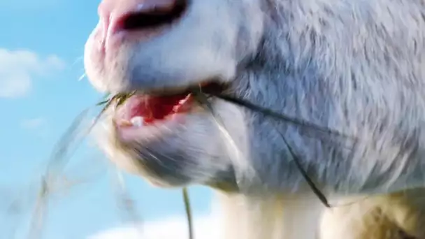 GOAT SIMULATOR - Trailer en Live Action (Xbox One / Xbox 360)