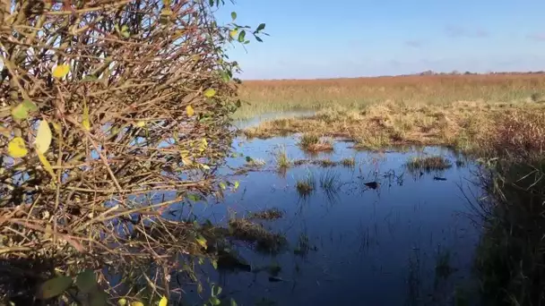 « Tous les chemins mènent à vous » à la pêche à la tonne à Carcans en Gironde