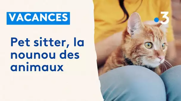 Faire garder son animal pendant les vacances, c'est possible grâce un pet sitter