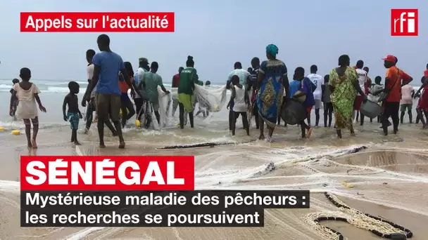 Sénégal : les recherches sur "la maladie des pêcheurs" se poursuivent