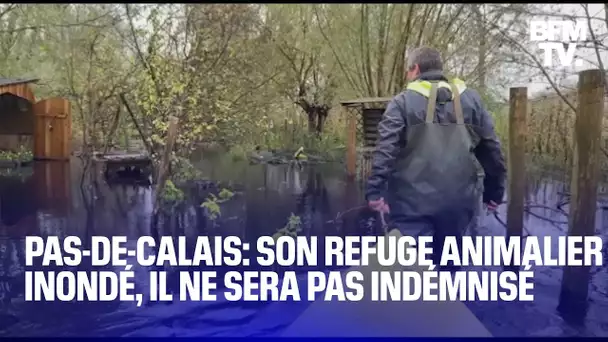 Crues dans le Pas-de-Calais: il se retrouve sans indemnisation pour son refuge animalier inondé