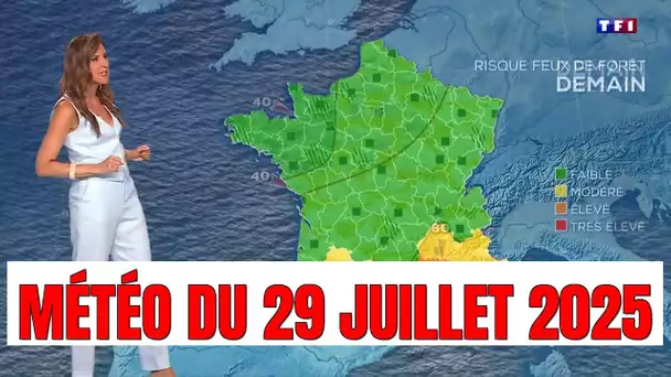 Alerte Météo : Vent violent et risque d'incendies dans le Sud demain