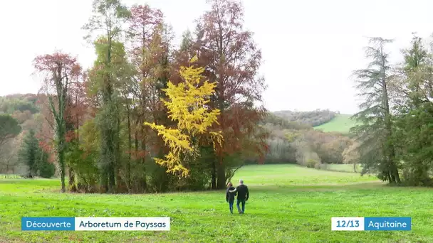 À la découverte de l'arboretum de Payssas à Lasseube en Béarn