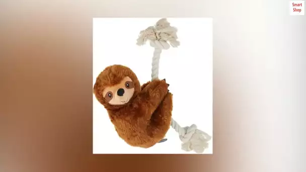 Fringe Studio Dog Toy, Brown Sloth On A Rope-Plush Pet Toy (289373)