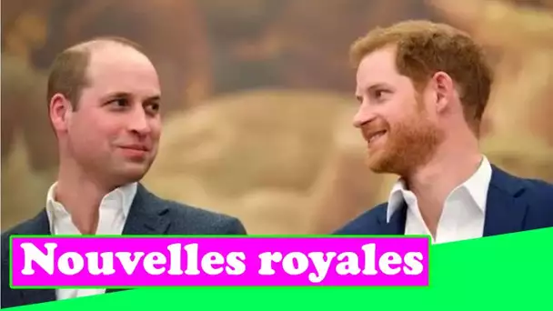 Le prince Harry et le prince William mettent de côté la faille pour honorer la princesse Diana dans