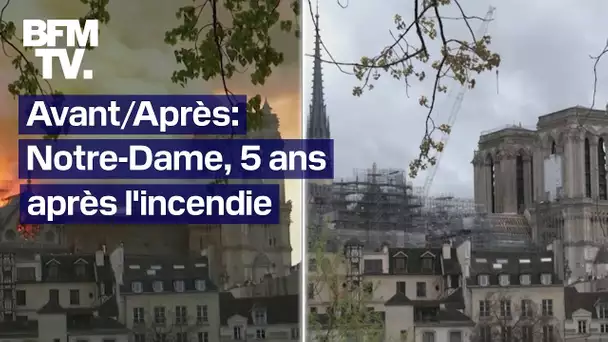 5 ans après l'incendie de Notre-Dame, la cathédrale retrouve peu à peu son visage