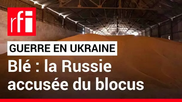 Guerre en Ukraine : les céréales ukrainiennes bloquées par la Russie • RFI