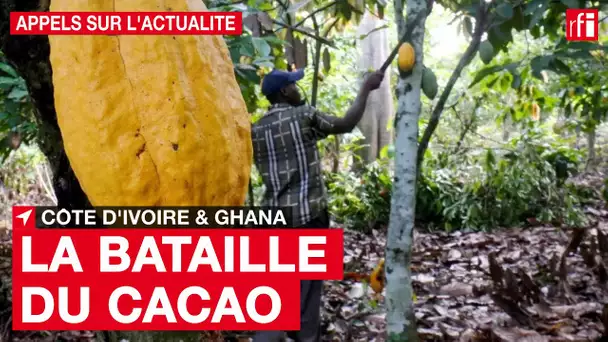 La bataille du cacao #CôtedIvoire #Ghana