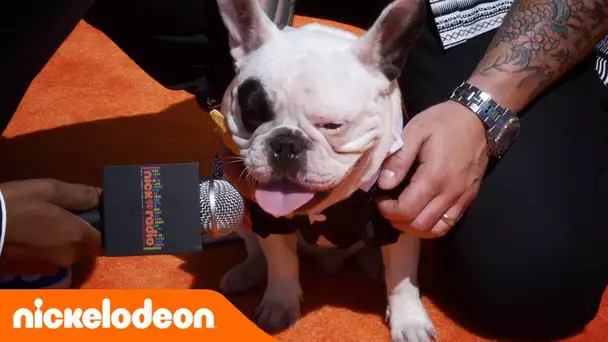 KCA | Pierre : le correspondant média du tapis orange, aux Kids&#039; Choice Awards | Nickelodeon France