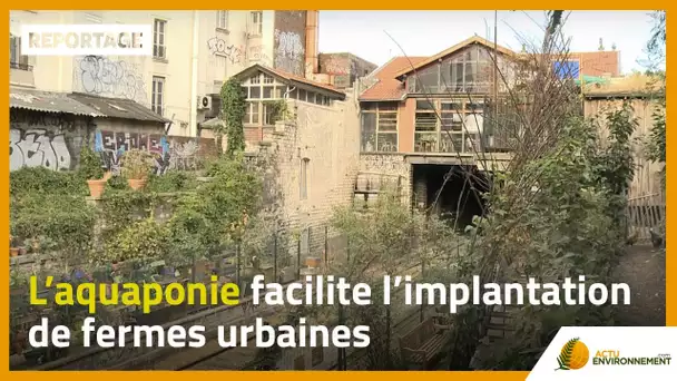 L’aquaponie facilite l’implantation de fermes urbaines