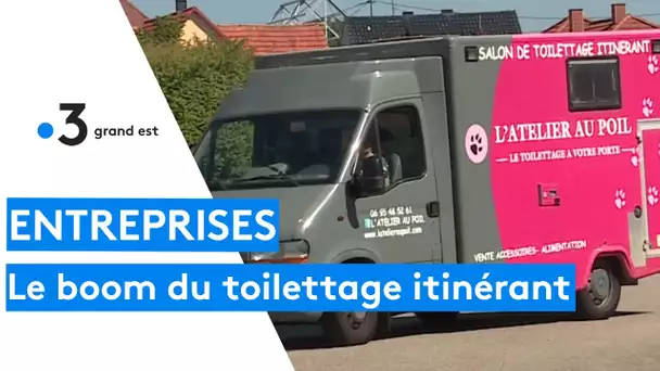 Au poil, le toilettage itinérant !