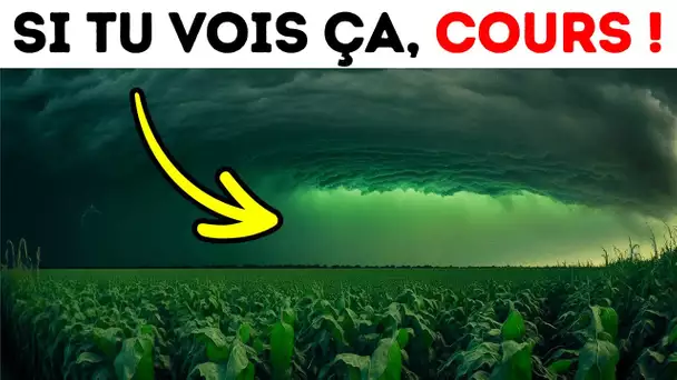 Si tu vois le ciel devenir vert, trouve vite un abri