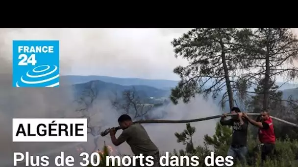 Plus de 30 morts dans des incendies en Algérie, qui suffoque sous une canicule historique