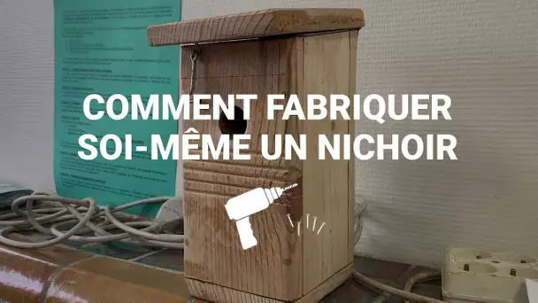 Comment construire un nichoir à mésange