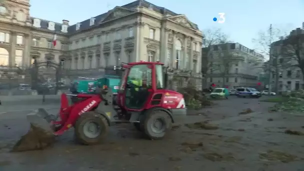 Lille : les agriculteurs déversent du purin contre les zones de non-traitement aux pesticides