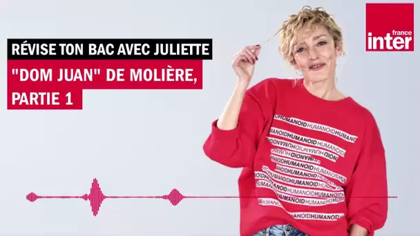 "Dom Juan" de Molière : le réquisitoire - Révise ton bac avec Juliette