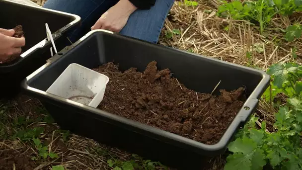 Documentaire "Tour de plaine" - Bonus : les vers de terre