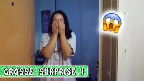 GROSSE SURPRISE : Elle n&#039;en croit pas ses yeux ! 😂 / Family vlog