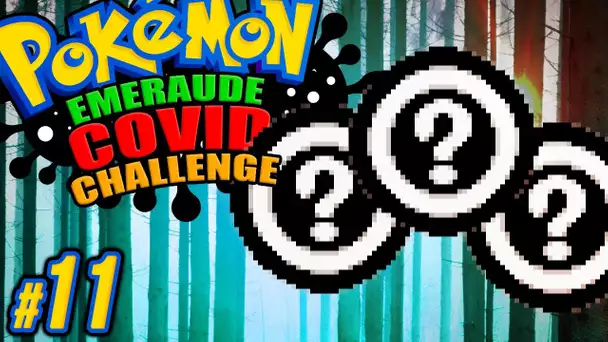 Du sang NEUF dans l'EQUIPE ! #11 - Pokémon EMERAUDE C🅾️VID CHALLENGE