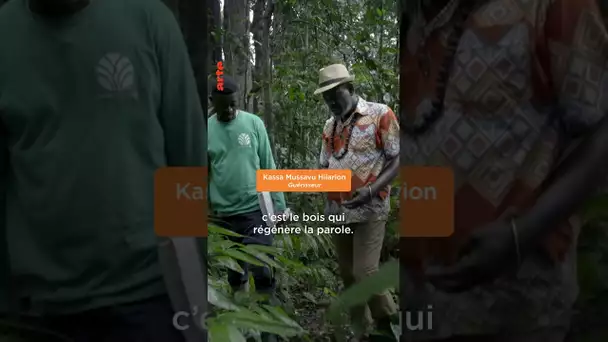 Il protège l’écosystème 🌿🦋🐘 #documentaire #gabon #lesgardiensdelaforêt