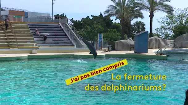 J'ai pas bien compris : la fermeture des delphinariums