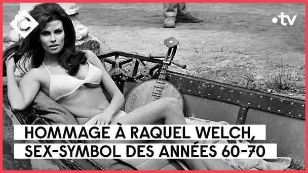 Raquel Welch, 2 milliards d’inconsolables - L’Oeil de Pierre Lescure - C à Vous - 16/02/2023