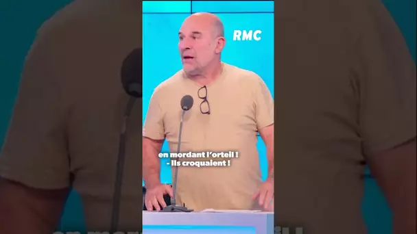 Pourquoi on invite plus Moscato dans les autres émissions