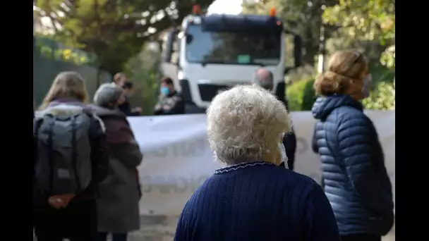 Castelnau-le-Lez : pour protéger un chêne centenaire, des riverains bloquent les engins de chantier