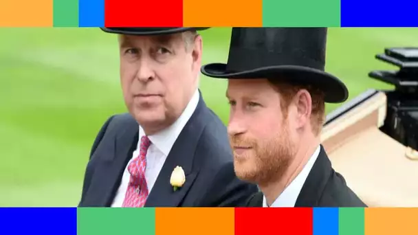👑  “Arrête d'essayer” : l'avertissement du prince Andrew au prince Harry