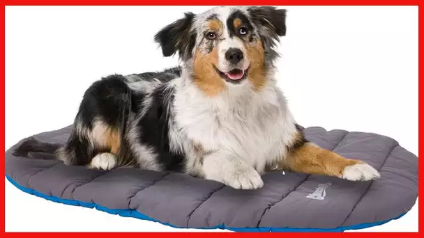 Chuckit! Travel Dog Bed