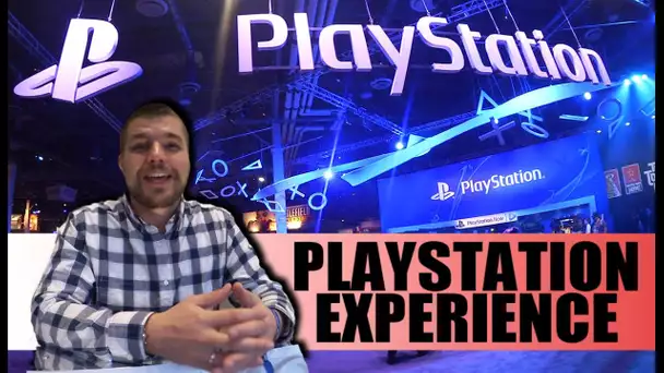 Playstation Experience 2014 à Las Vegas