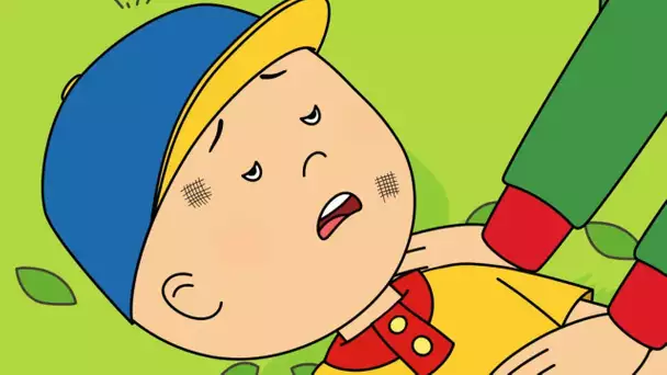 L'accident | Caillou en Français