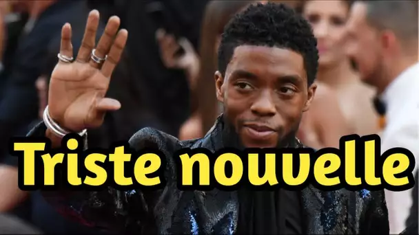 Chadwick Boseman, la star de Black Panther, est mort