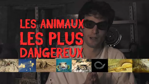 LES ANIMAUX LES PLUS DANGEREUX !