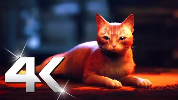 STRAY (Jeu de Chat) Gameplay Trailer 4K