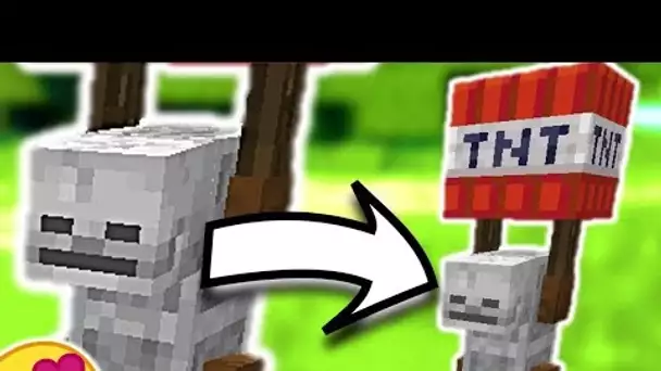 CE NOUVEAU MOB TE LANCE DES TNT A LA TRONCHE ! MINECRAFT 1.15