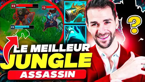 LE MEILLEUR JUNGLE ASSASSIN, Mais.. je le joue CRITIQUE !! (Fun à jouer)