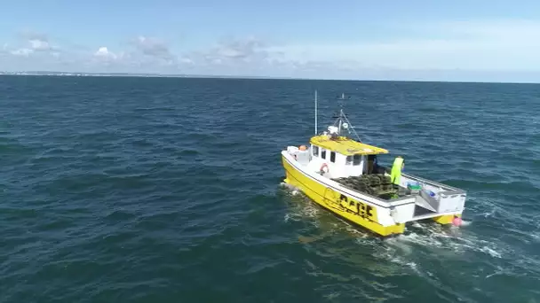 Page été Pêche Cherbourg à bord d'un caseyeur