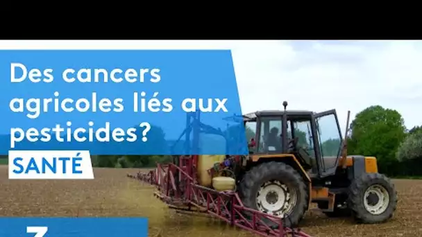 Des cancers agricoles liés aux pesticides ?
