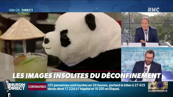Insolite: des poupées gonflables ou des pandas pour espacer les clients dans les restaurants