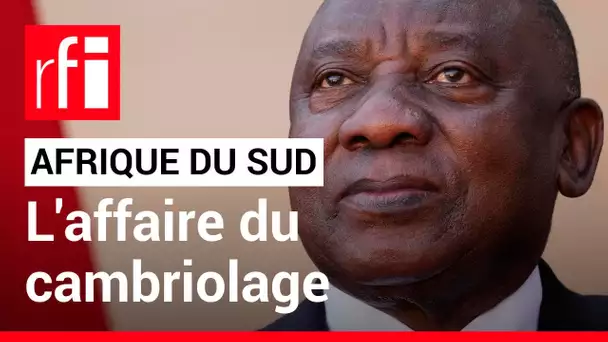 Afrique du Sud : l'affaire du cambriolage qui éclabousse le président Ramaphosa • RFI