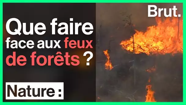 Que faire face aux feux de forêts ?