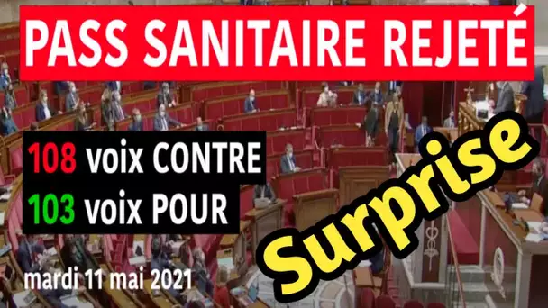 Déconfinement : L'Assemblée vote (à la surprise générale) contre le pass sanitaire